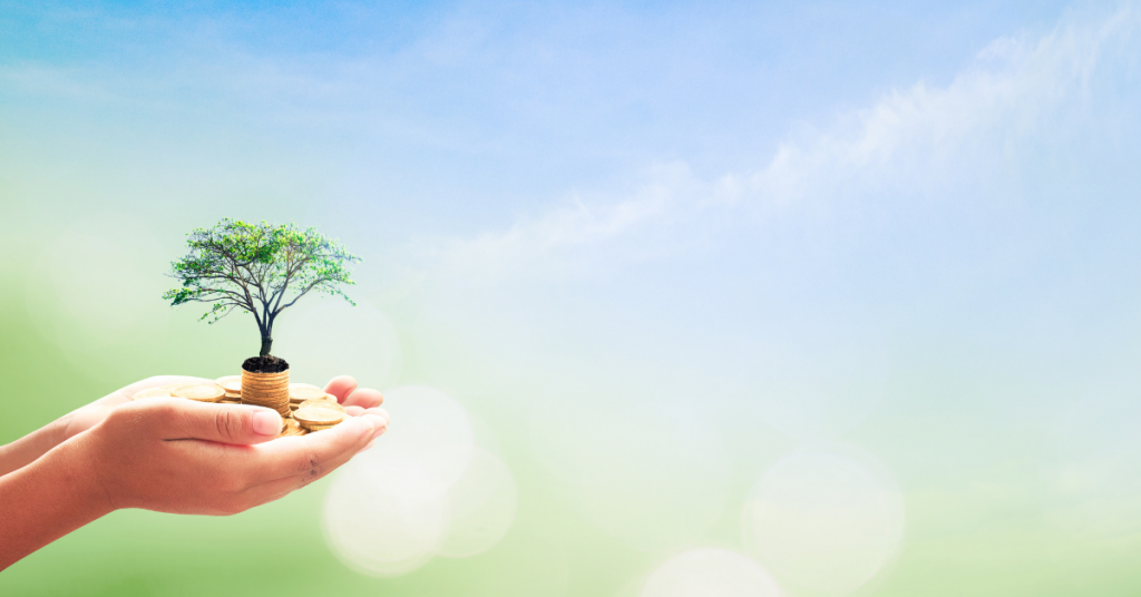 Image of hands cradling a tree growing from coins - a visual metaphor for growth.