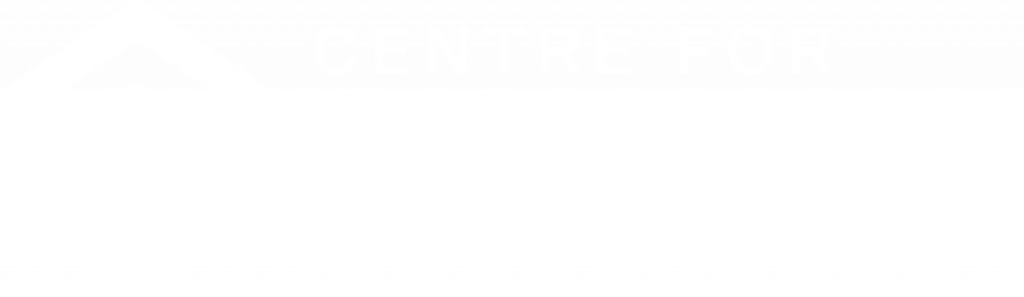 Centre for Sustainable Innovation Logo