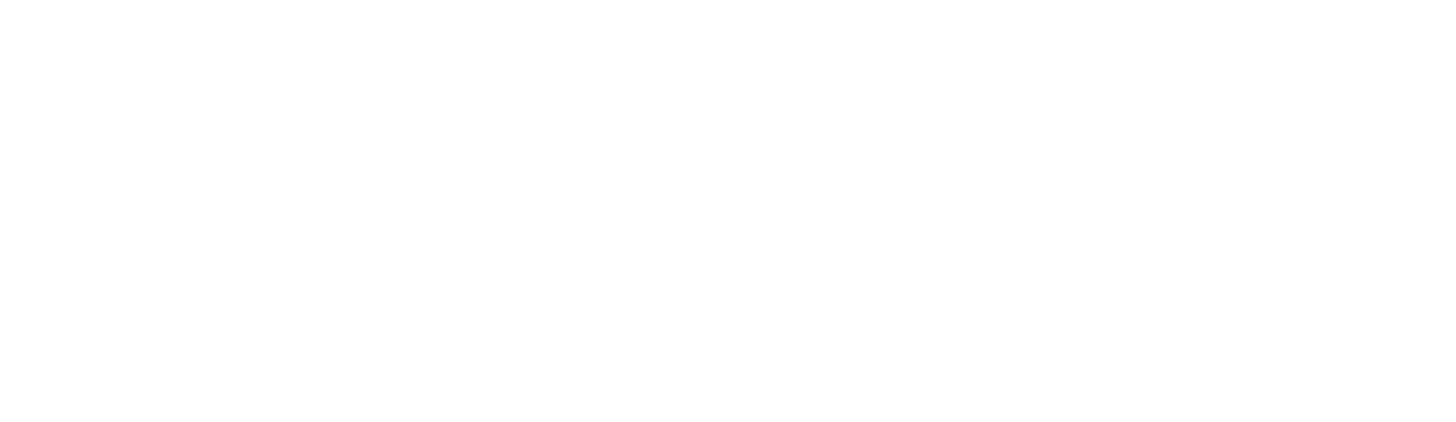 Centre for Sustainable Innovation Logo