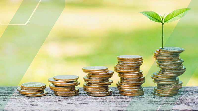 stacks of coins with a plant sprouting out the tallest stack